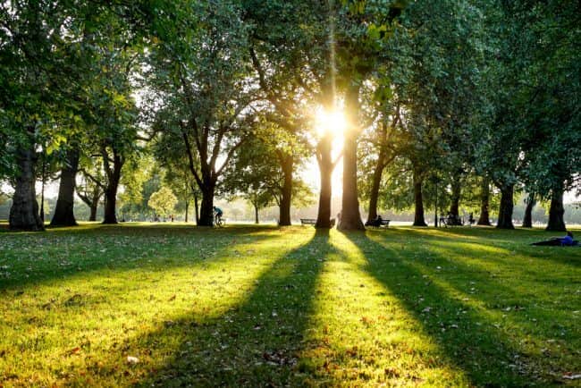 Hyde Park